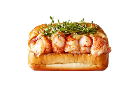 Boston lobster roll